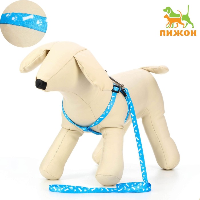 

Комплект "Классика", капрон, поводок 120 х 1 см, ОГ 21-35 см, голубой