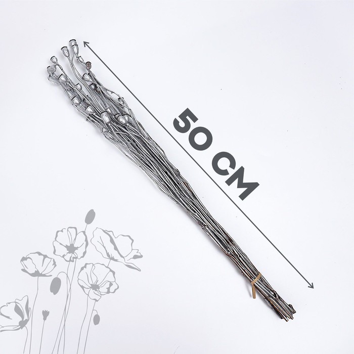 

Сухой мак, набор 30 шт., цвет серебряный