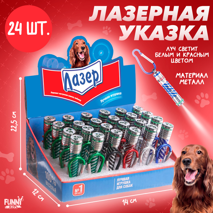 

Лазер «100% веселья», цвета МИКС, в шоубоксе