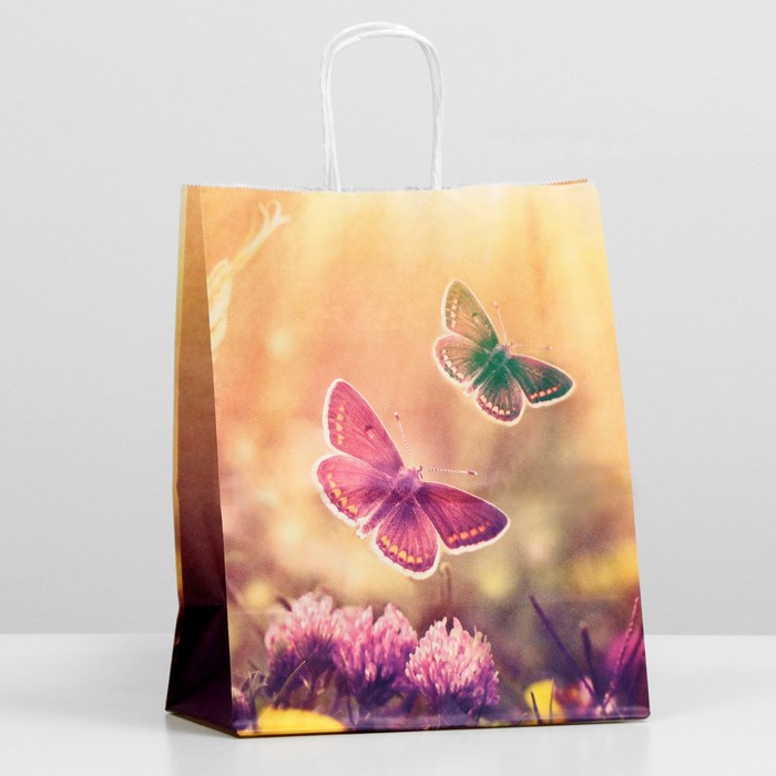 

Пакет крафт "Бабочки в поле", 22 х 12 х 27 см