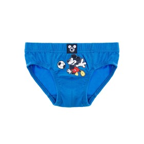

Трусы - брифы Disney для мальчика, рост 110-116 см - 2 шт.