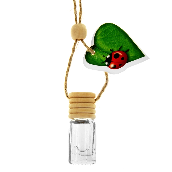 Ароматизатор для авто "Luazon Nature", молодая трава