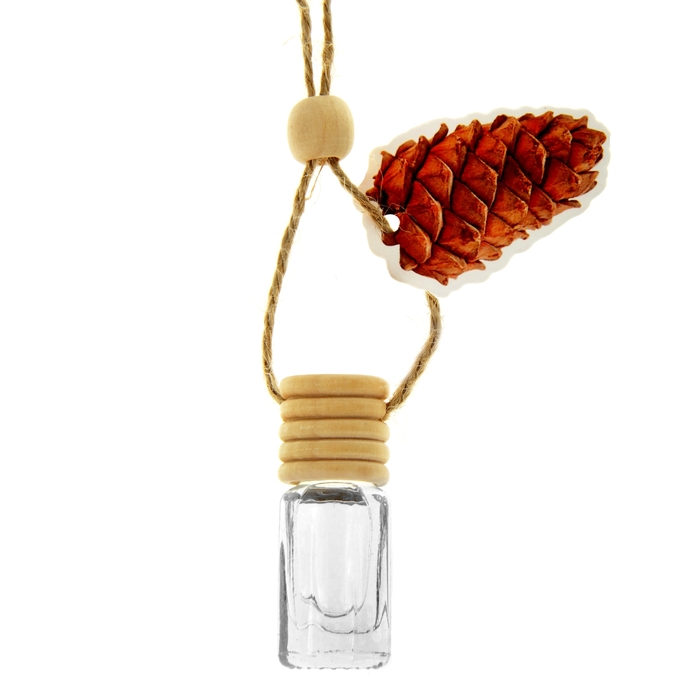 Ароматизатор для авто "Luazon Nature", хвойный лес