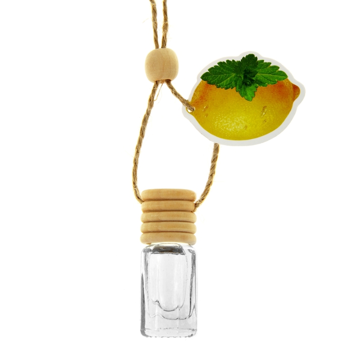 Ароматизатор для авто "Luazon Nature", мята и лимон