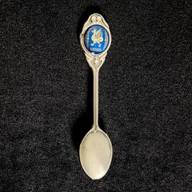 

Ложка сувенирная «Казань»
