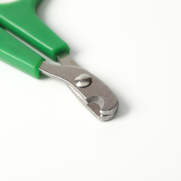 фото Ножницы-когтерезы с упором для пальца, отверстие 6 мм, зелёные с белым пижон