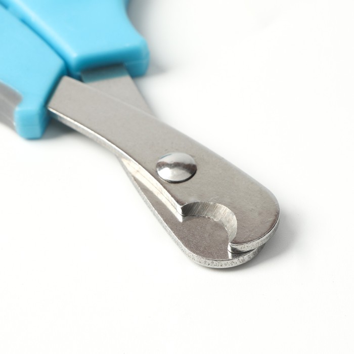 Ножницы-когтерезы средние с упором для пальца, голубые с серым