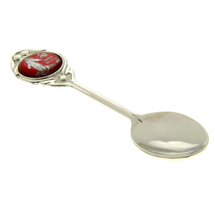 Ложка сувенирная «Ростов-на-Дону»