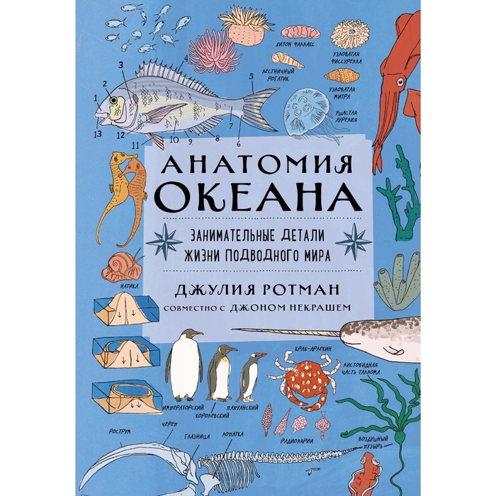Анатомия океана. Занимательные детали жизни подводного мира. Ротман Д.