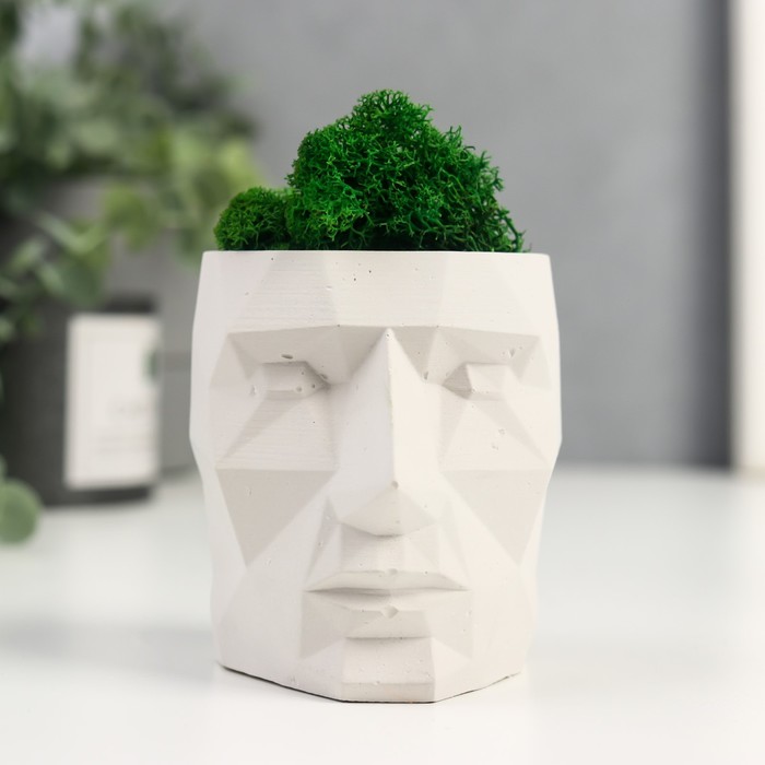 Кашпо бетонное Голова со мхом высота 8.5 см белое (мох зеленый стабилизированный)