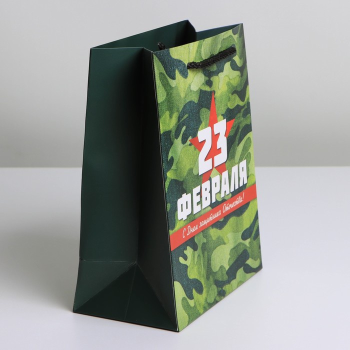

Пакет ламинированный вертикальный «Звезда», MS 18 × 23 × 10 см
