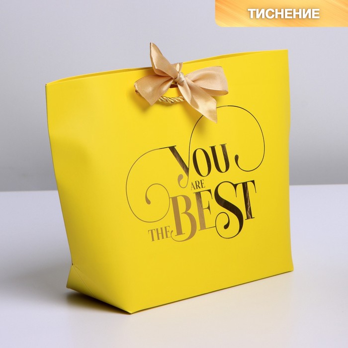 Пакет подарочный, упаковка, «You are the best», 19 х 20 х 9 см