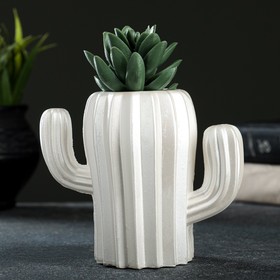 

Горшок "Кактус" жемчуг, 11 см