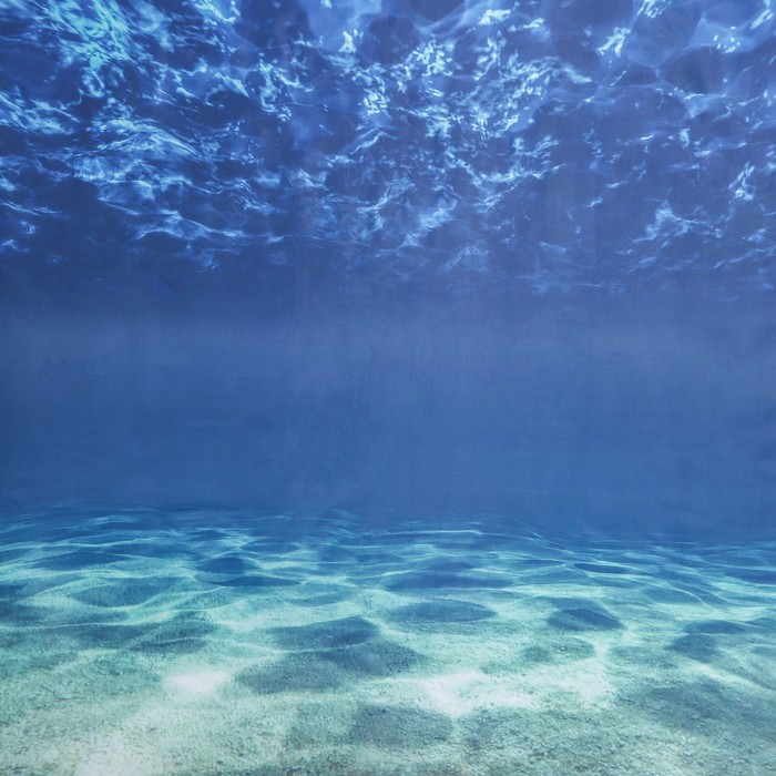 

Штора для ванны Доляна Sea floor, с люверсами, 180×180 см, полиэстер