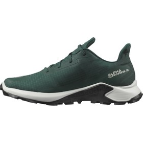 

Кроссовки Salomon ALPHACROSS 3 мужские, размер 48 (L41446000)