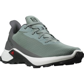 

Кроссовки Salomon AlphacroSS 3 мужские, размер 40