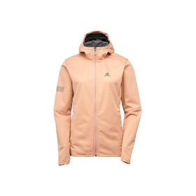 

Куртка Salomon GTX WS Sshell Jacket W женская, размер 44-46 (LC1600000)