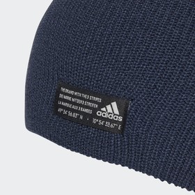 

Шапка Adidas PERF BEANIE мужская, размер 60-62 (GS2114)