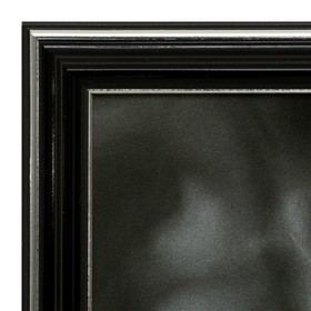 

Картина "Гепард" 35х28 (38х31) см