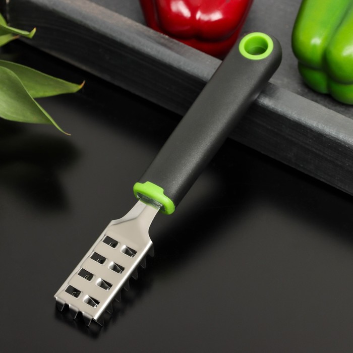 

Рыбочистка Доляна Lime, 18,5×3 см, цвет чёрно-зелёный