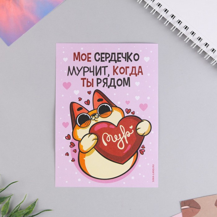 Сертификат «Мое сердечко мурчит когда ты рядом», 10 х 14 см