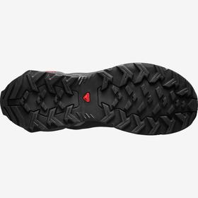 

Кроссовки мужские Salomon SHOES X REVEAL Quiet Shade, размер 46 (L41042000)