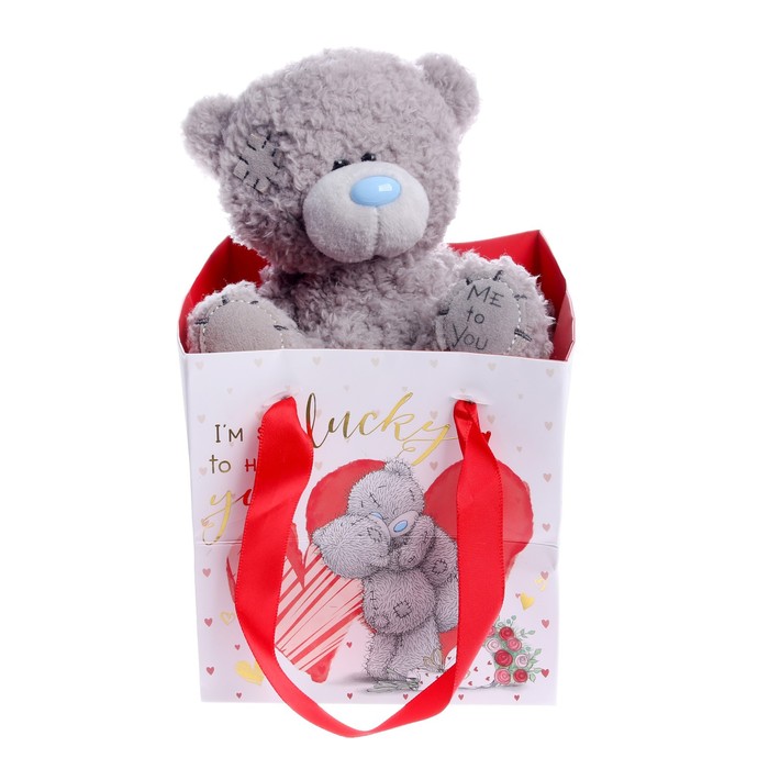 

Игрушка мягкая «Мишка Тедди» пакет, 13 см