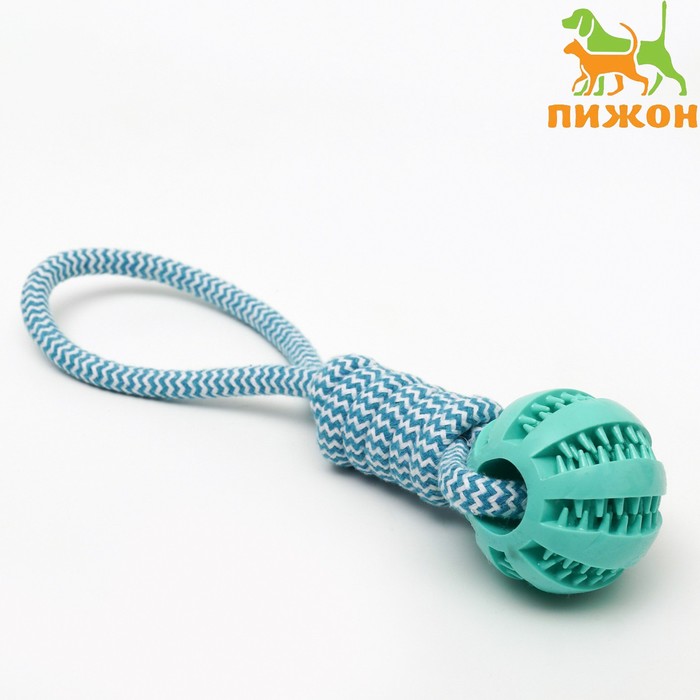

Игрушка канатная плетёная с мячом, до 30 см, до 120 г, голубая