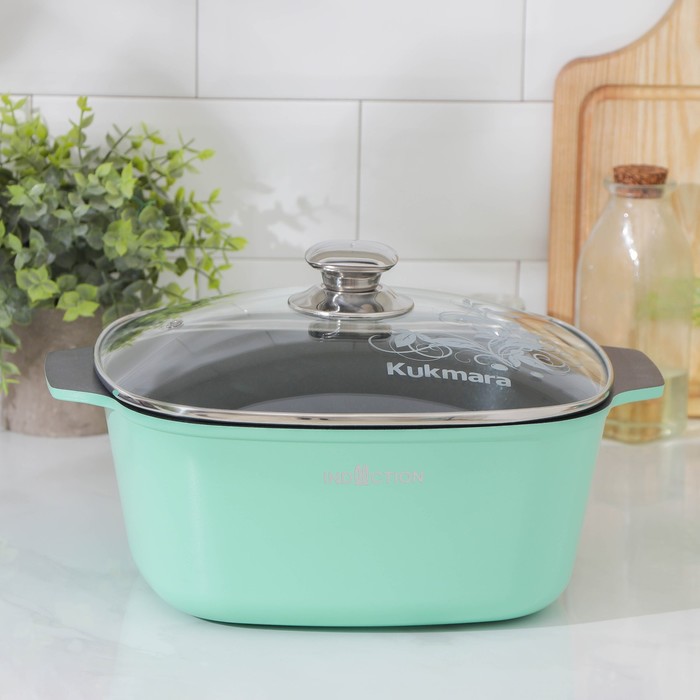 

Кастрюля Titanium pro Induction, 5,5 л, квадратная, 26×26 см, стеклянная крышка, антипригарное покрытие, индукция, цвет зелёный