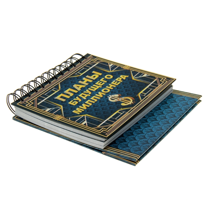 Планинг "Планы будущего миллионера" 60 листов