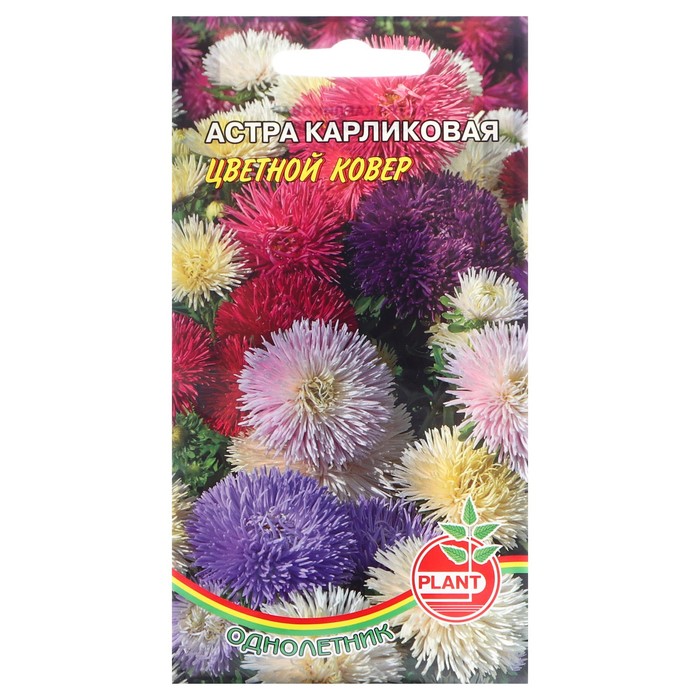 Семена цветов Астра Карликовая Цветной ковер, 0,1 г цена и фото