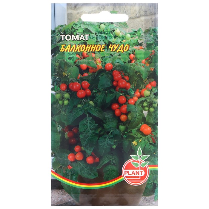 Семена Томат 