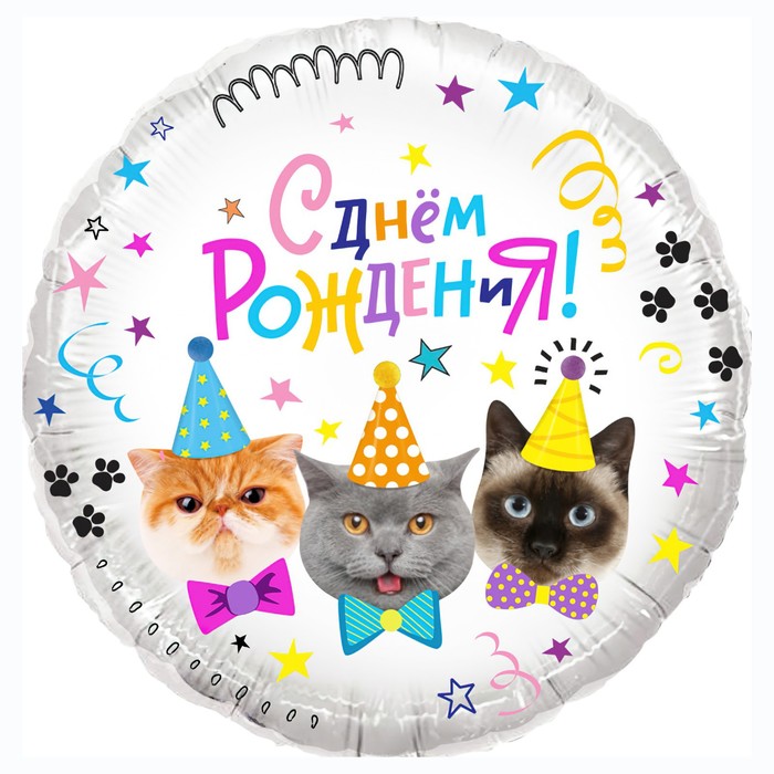 Шар фольгированный 18 «С днём рождения! Котики», круг, в упаковке