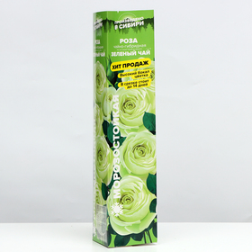 Саженец розы "Зеленый чай", 1 шт, Весна 2022 от Сима-ленд