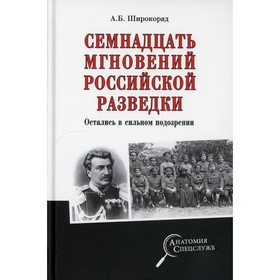 

Семнадцать мгновений российской разведки. Остались в сильном подозрении. Широкорад Александр Борисович