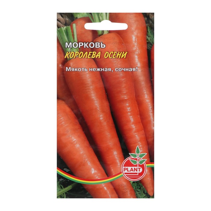 Семена Морковь Королева осени, 800 шт. семена морковь королева осени 2гр бп