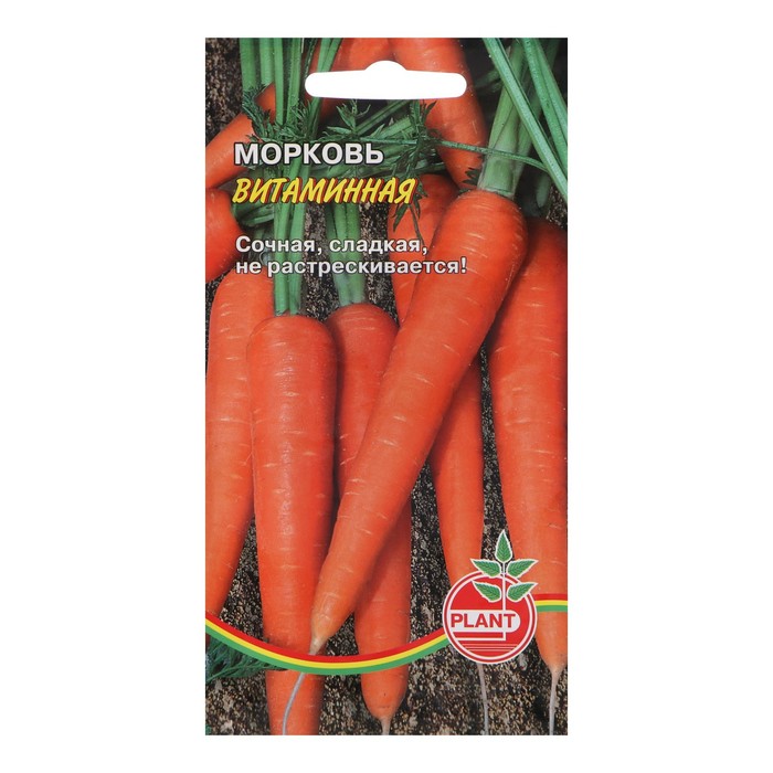 Семена Морковь Витаминная, 800 шт. семена морковь витаминная