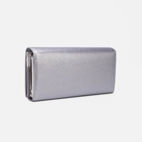 

Кошелёк на магнитах, цвет серебристый
