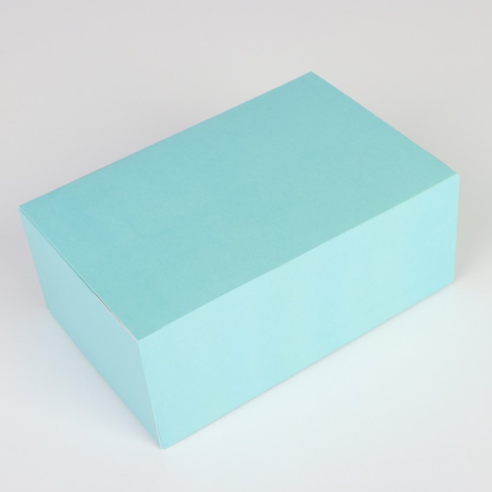 

Коробка подарочная сборная, упаковка, «Тифани», 18 х 12 х 8 см