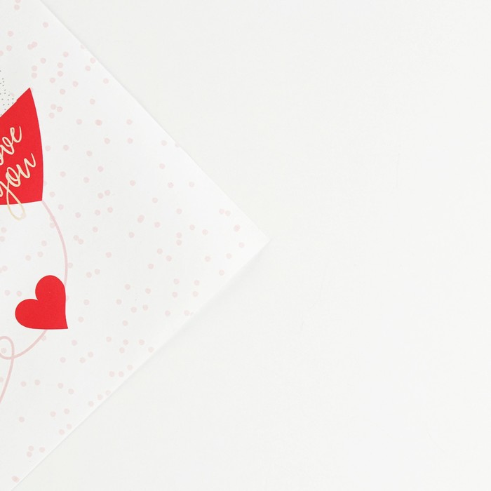 

Бумага упаковочная глянцевая «Love you», 70 × 100 см