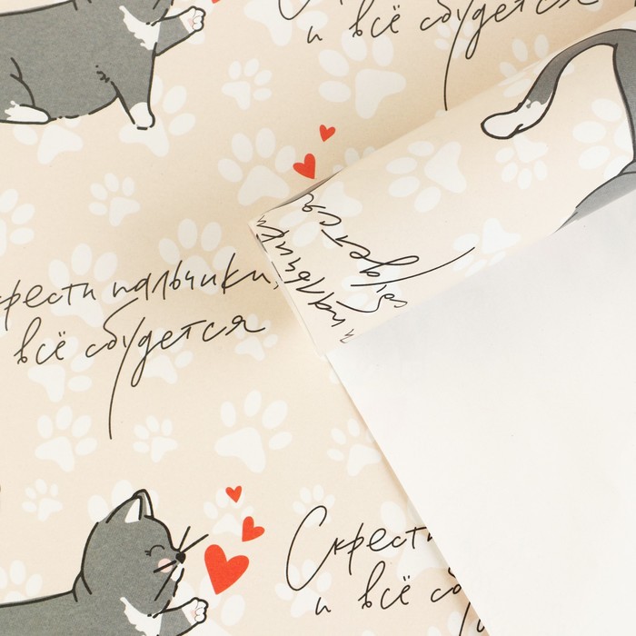 Бумага упаковочная глянцевая «Котики», 70 × 100 см