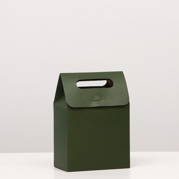 Коробка-пакет с ручкой, зеленая, 19 х 14 х 8 см
