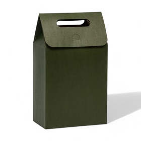 Коробка-пакет с ручкой, зеленая, 27 х 16 х 9 см