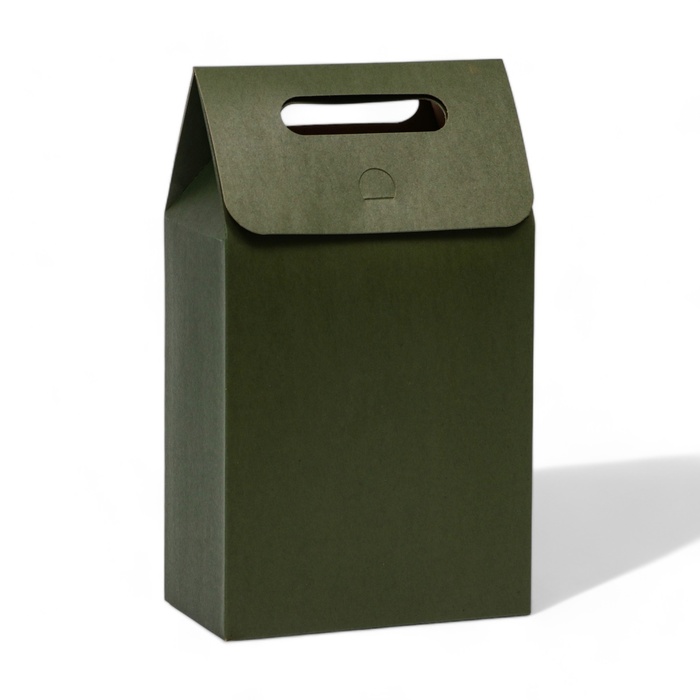 Коробка-пакет с ручкой, зеленая, 27 х 16 х 9 см коробка пакет с ручкой крафт 26 х 19 х 9 см