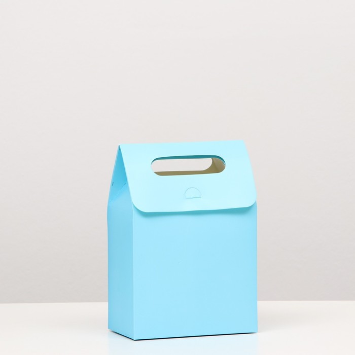 Коробка-пакет с ручкой, голубая, 19 х 14 х 8 см коробка пакет с ручкой крафт 26 х 19 х 9 см