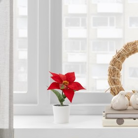 

Растение искусственное и кашпо ФЕЙКА, для дома и улицы, 15 см, цвет красный
