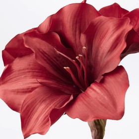 

Цветок амариллис искусственный СМИККА, для дома и улицы, 60 см, цвет красный