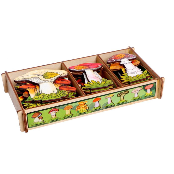 Набор «Грибы на подставке» в деревянной коробке, 36 деталей набор для рисования в деревянной коробке обтянутой пвх большой