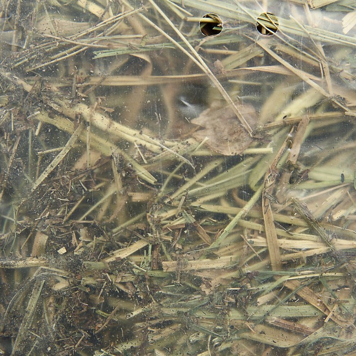 Сено луговое прессованное с овощами, 500 гр.