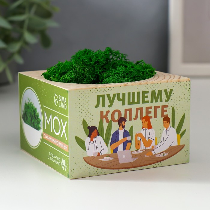 

Кашпо со стабилизированным мхом "Лучшему коллеге"